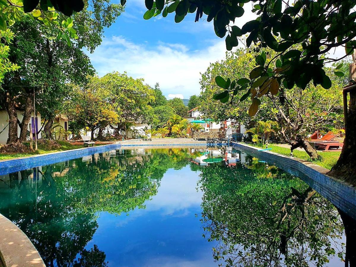 Bohemiaz Resort And Spa Kampot Exteriér fotografie
